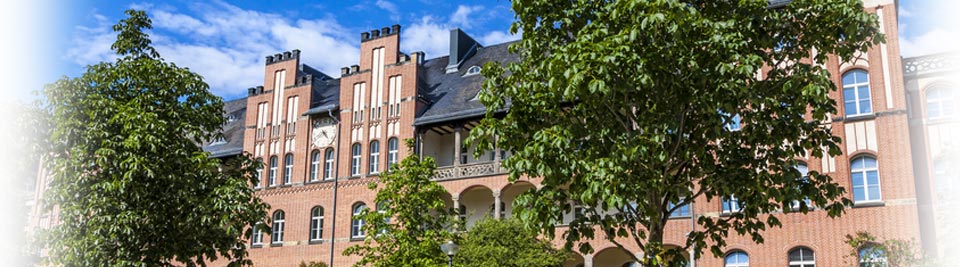 Treatment in Germany